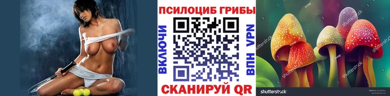 мориарти официальный сайт Ангарск Псилоцибиновые грибы Psilocybe
